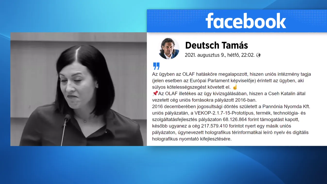 Az OLAF-hoz fordult a Fidesz EP-képviselője Cseh Katalin botrányos cégügyei miatt