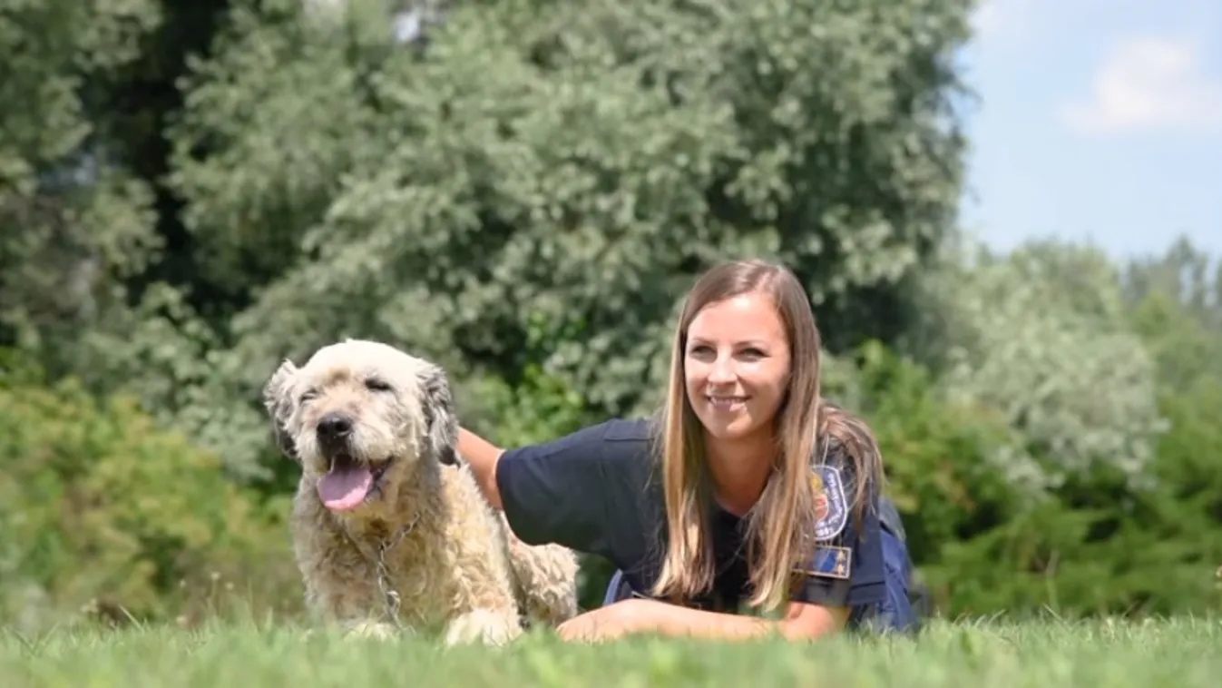 Egyenruhás kampánycsapat a hontalan állatokért