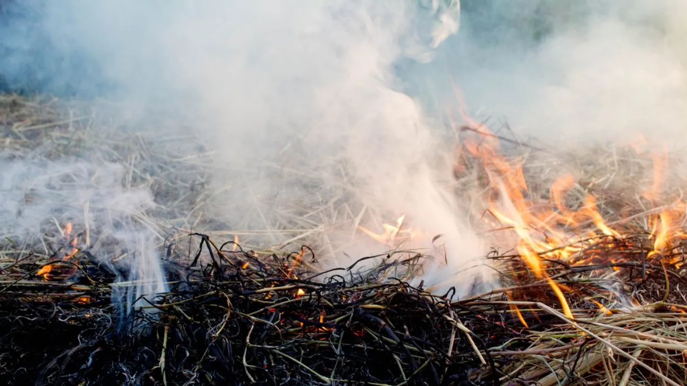 Ezerötszáz bála égett Cegléd határában