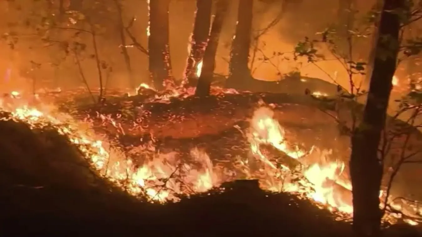 Nem tudják eloltani az erdőtüzeket Kaliforniában
