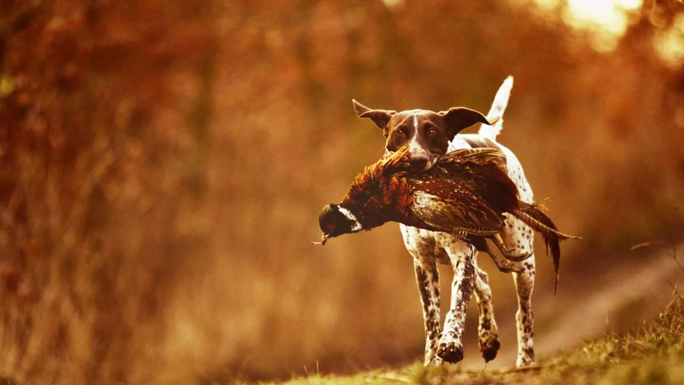 Semjén: A vadászati világkiállítás a teljességre törekszik