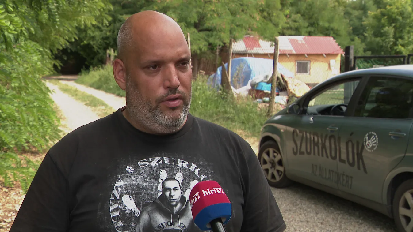 53 éves férfit téptek szét a kutyák