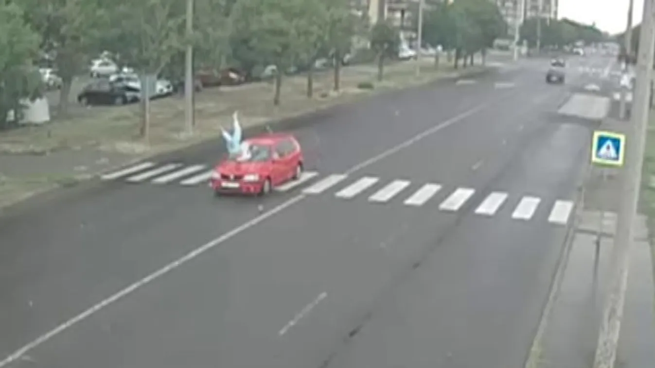 Döbbenetes felvétel: zebrán gázolták el, több métert repült