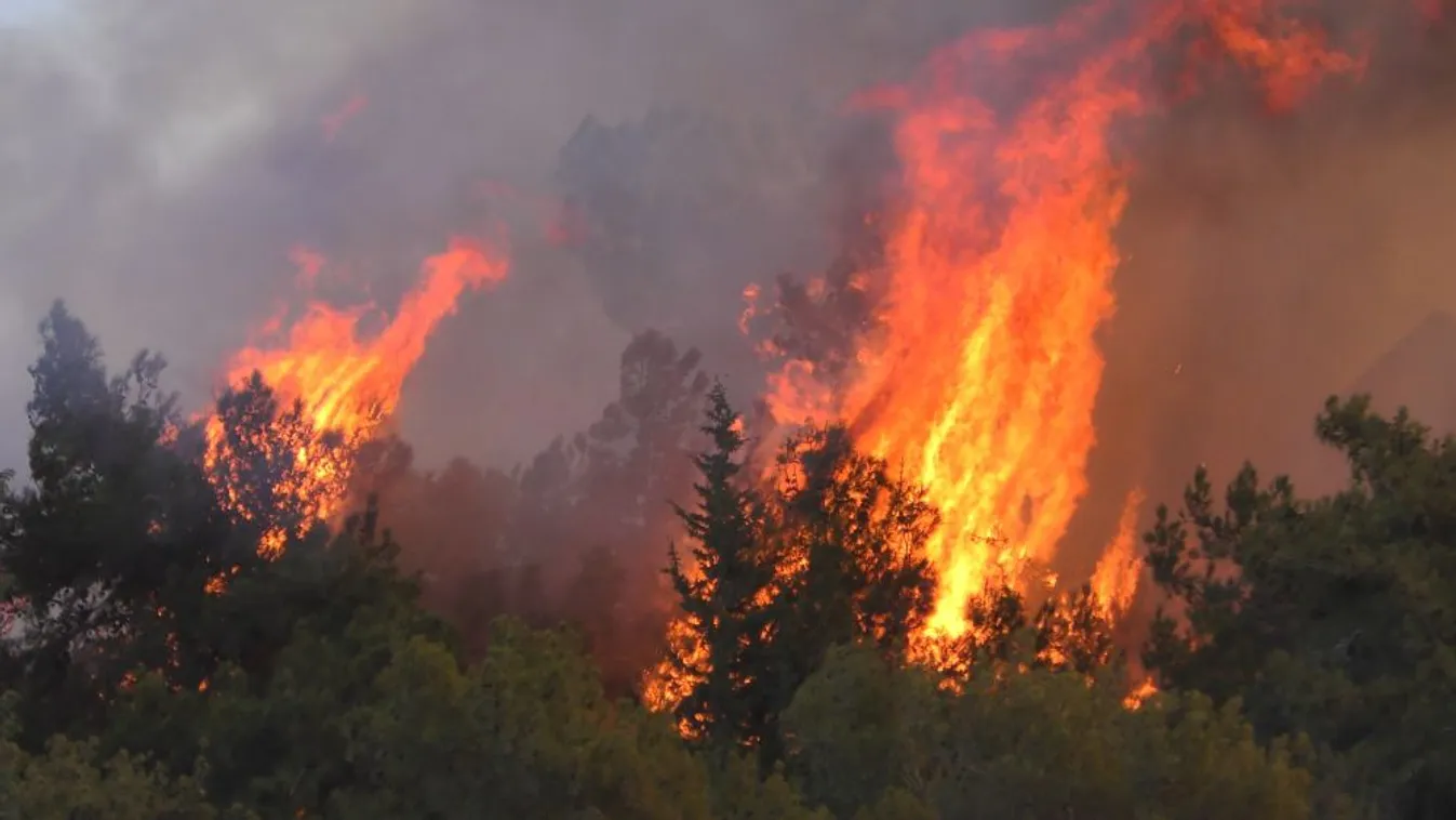 Az utóbbi évek egyik legnagyobb erdőtüze tombol a Jeruzsálem környéki hegyekben