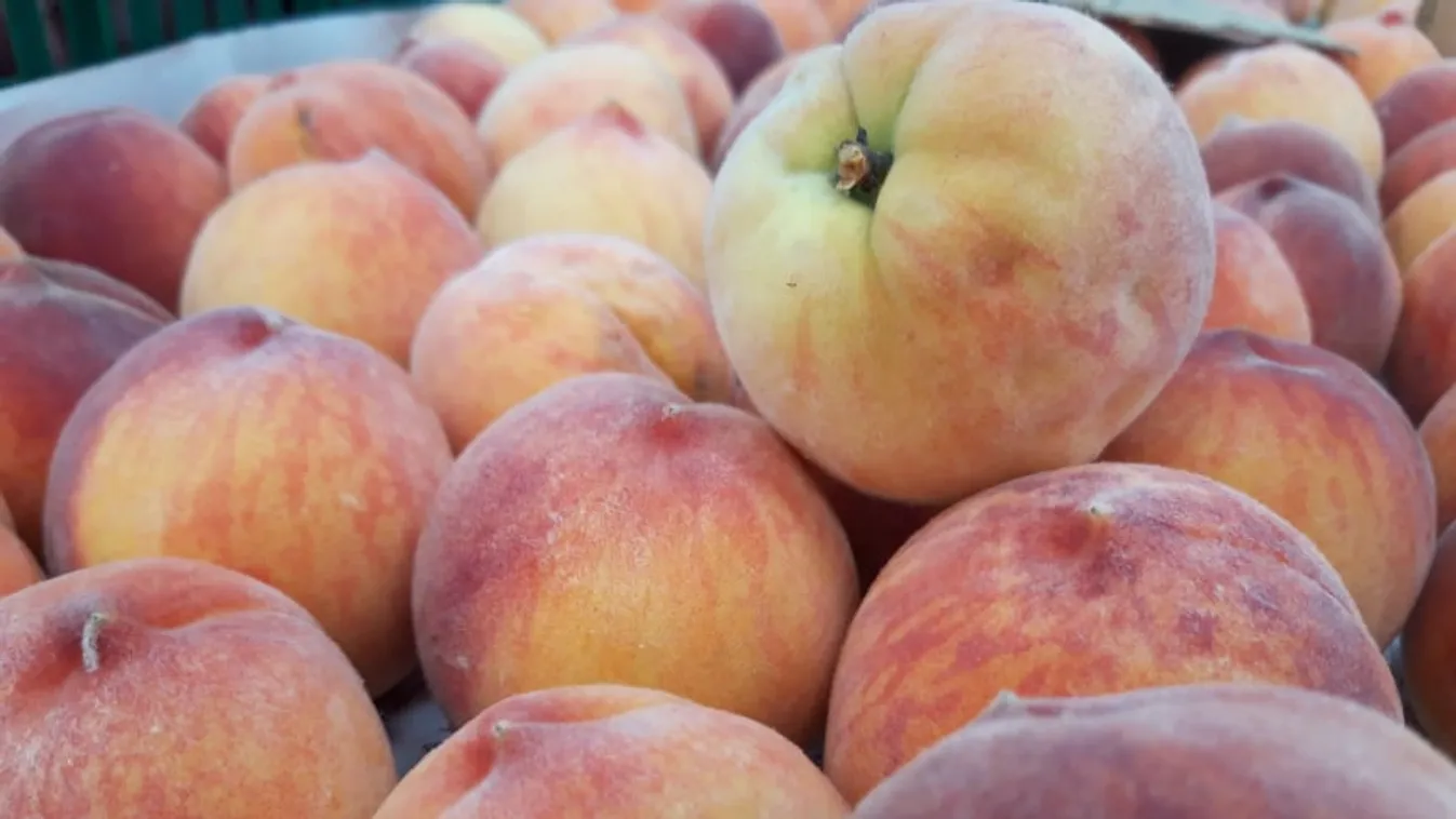 50 százalékkal drágább a barack, mint tavaly