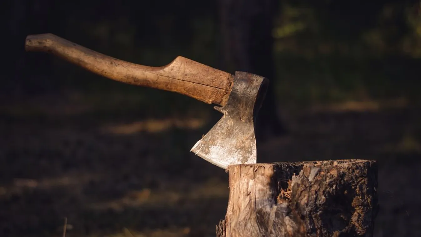 Fejszével támadt szomszédja kutyájára