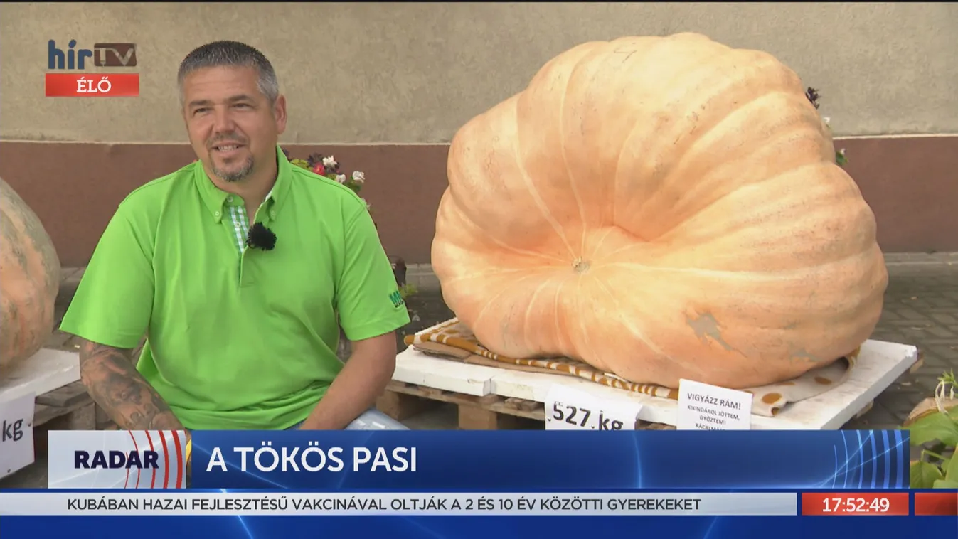 Radar: Tápiószentmárton büszkesége, az ország legnagyobb töke