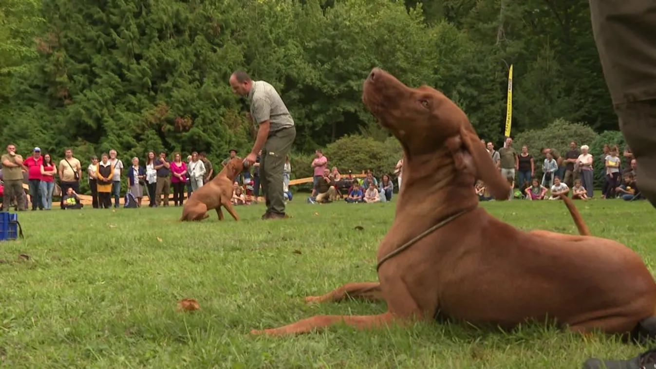 Családi napot szervezett a Zalaerdő Zrt.