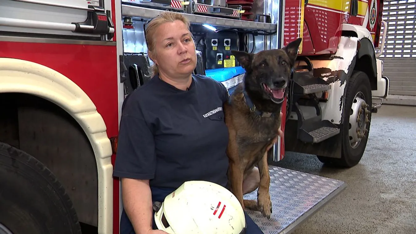 Négylábú tűzoltók