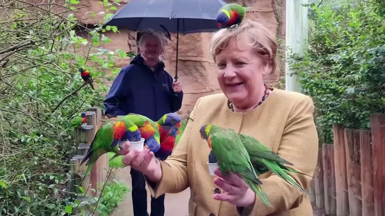 Rossz helyzetben a CDU-CSU, erősödött az SPD