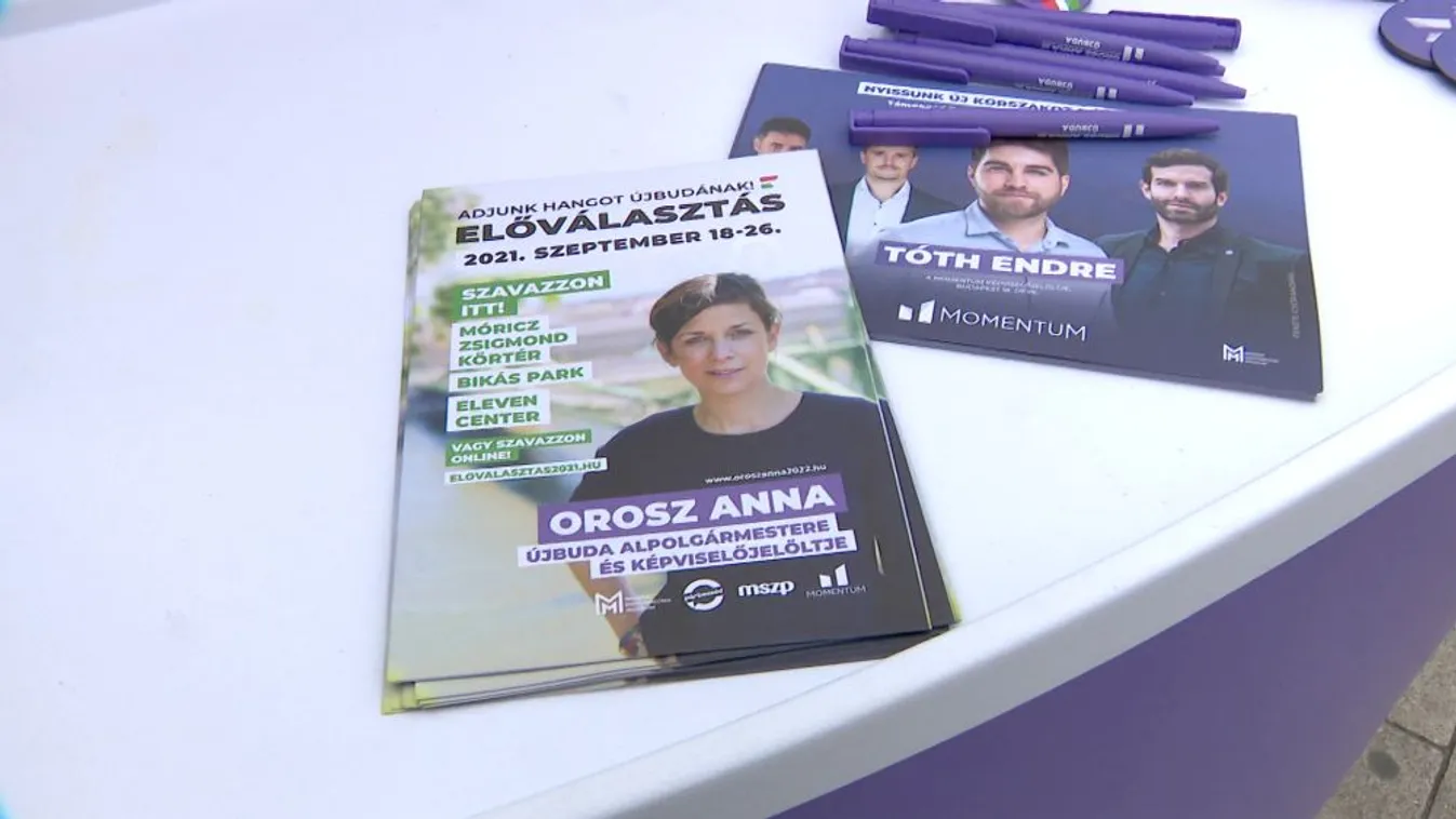 Hollik István: Az ellenzék egy előválasztást sem tud megrendezni