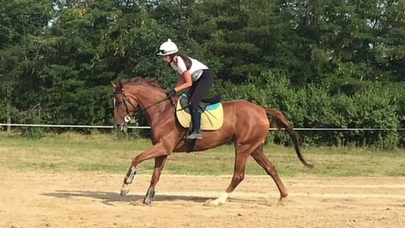 Ellovagolt, nem tudjuk már merre jár – emlékezés Jeles Eszterre