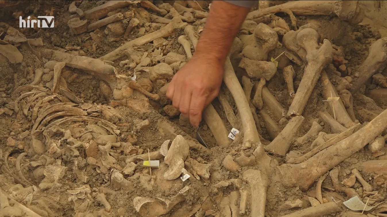 Ötből két mohácsi tömegsír feltárását tervezik