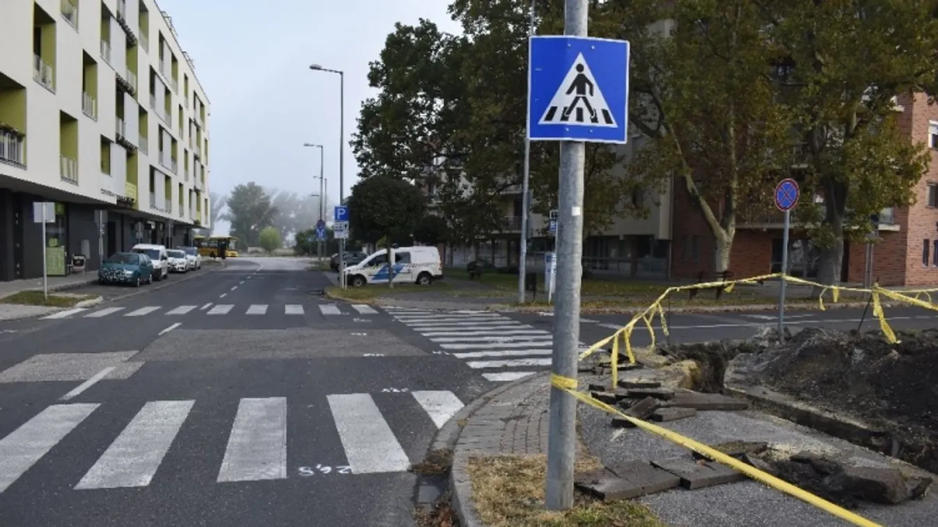 Zebrán gázolta el a gyalogost