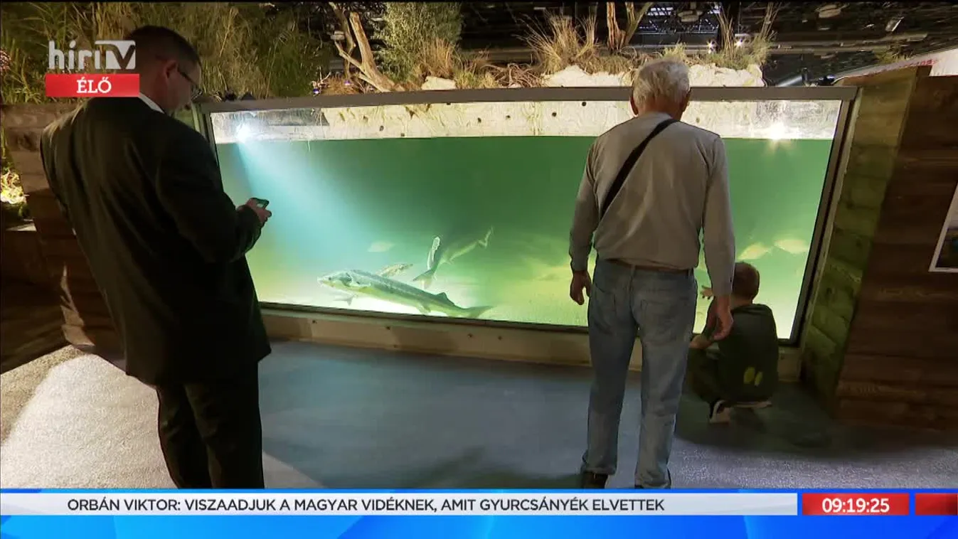 Mozaik (2021-09-30) - Vadászati Világkiállítás