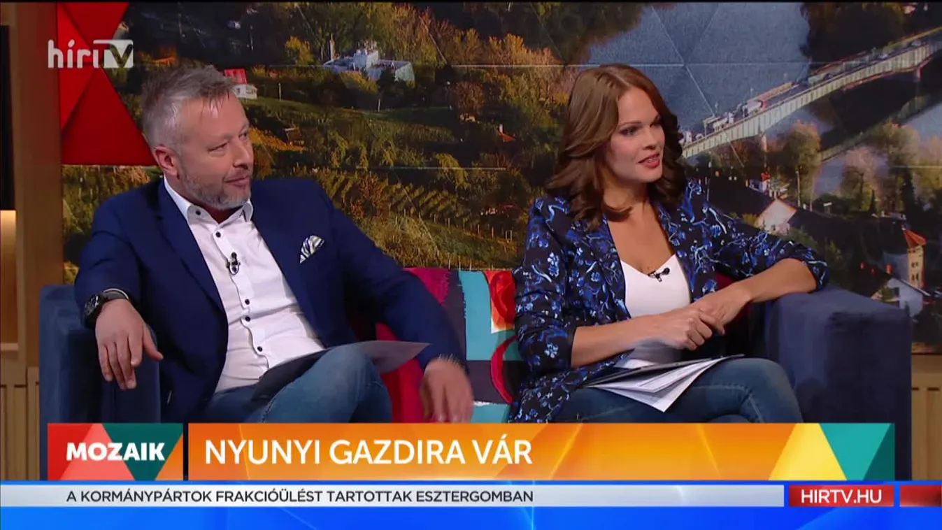 Mozaik - Vigyél haza! – Nyunyi gazdára vár (2021-09-17)