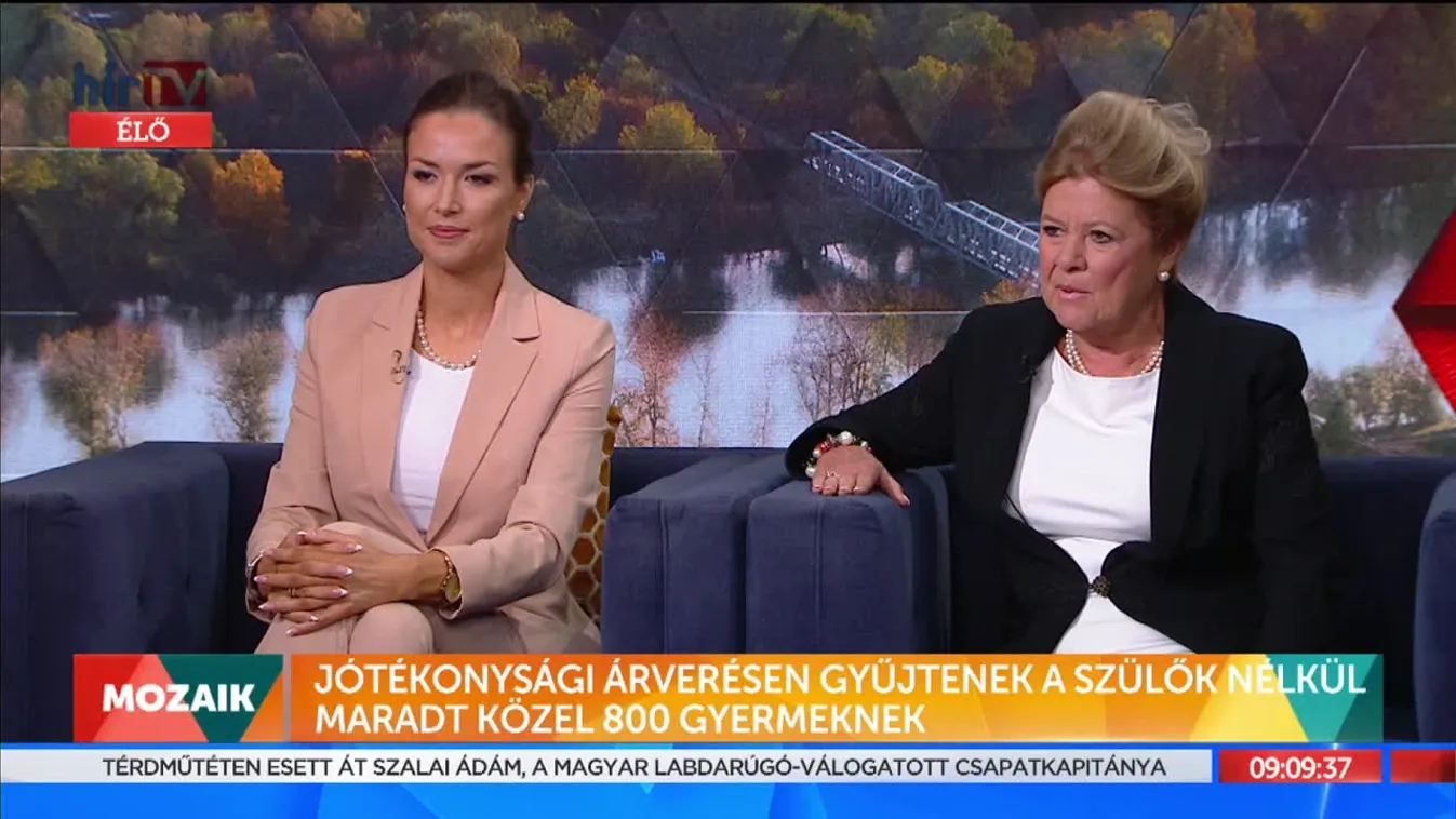 Mozaik - Jótékonysági árverésen gyűjtenek a szülők nélkül maradt közel 800 gyermeknek (2021-09-22)