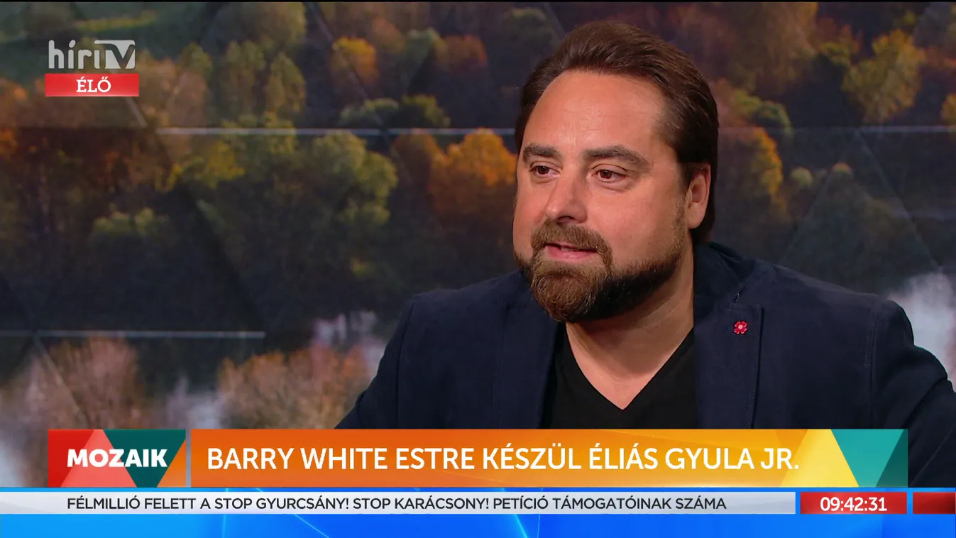 Mozaik: Barry White estre készül Éliás Gyula Jr.