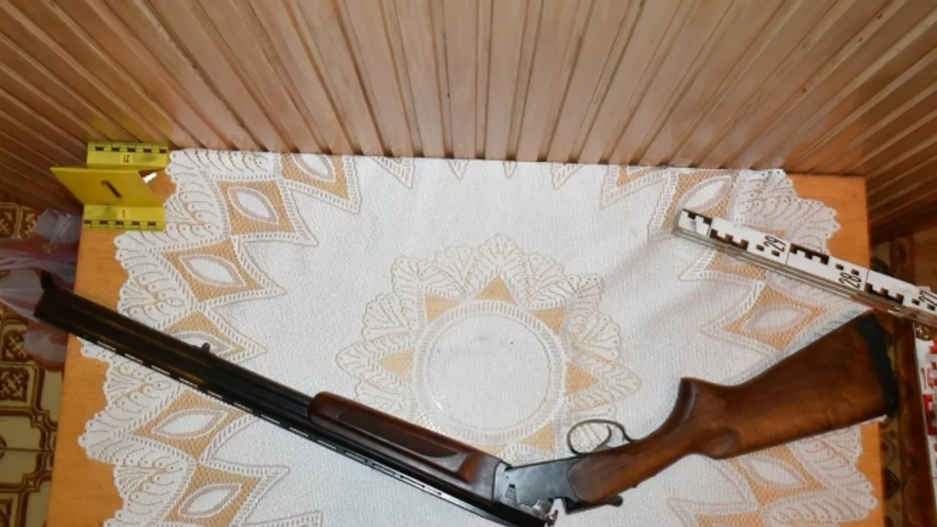 Őrizetbe vették emberölés előkészülete miatt