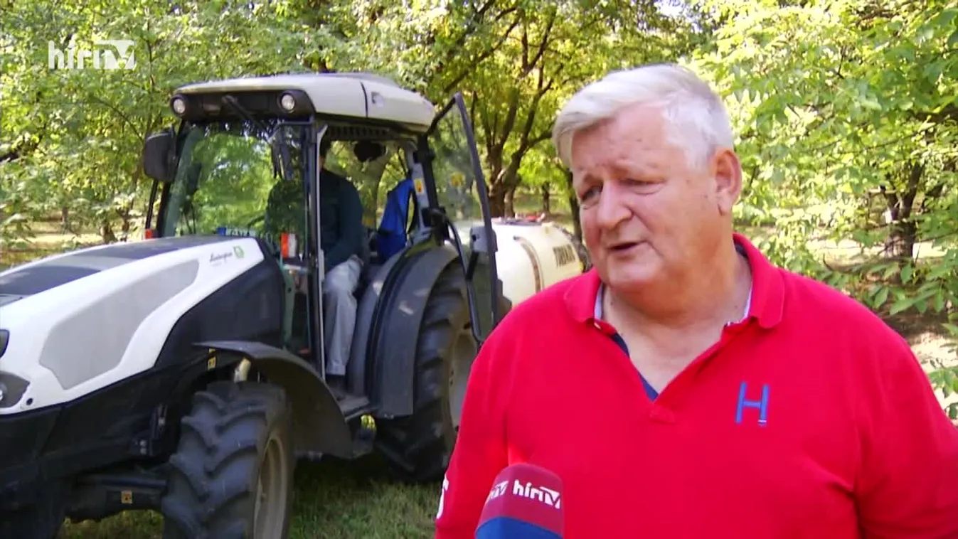 Soroló (2021-10-09)