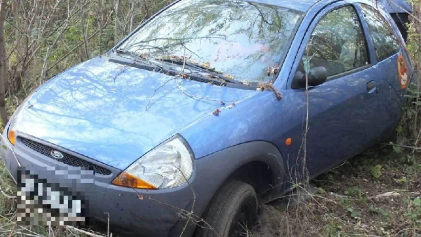 Elfogás a susnyásban