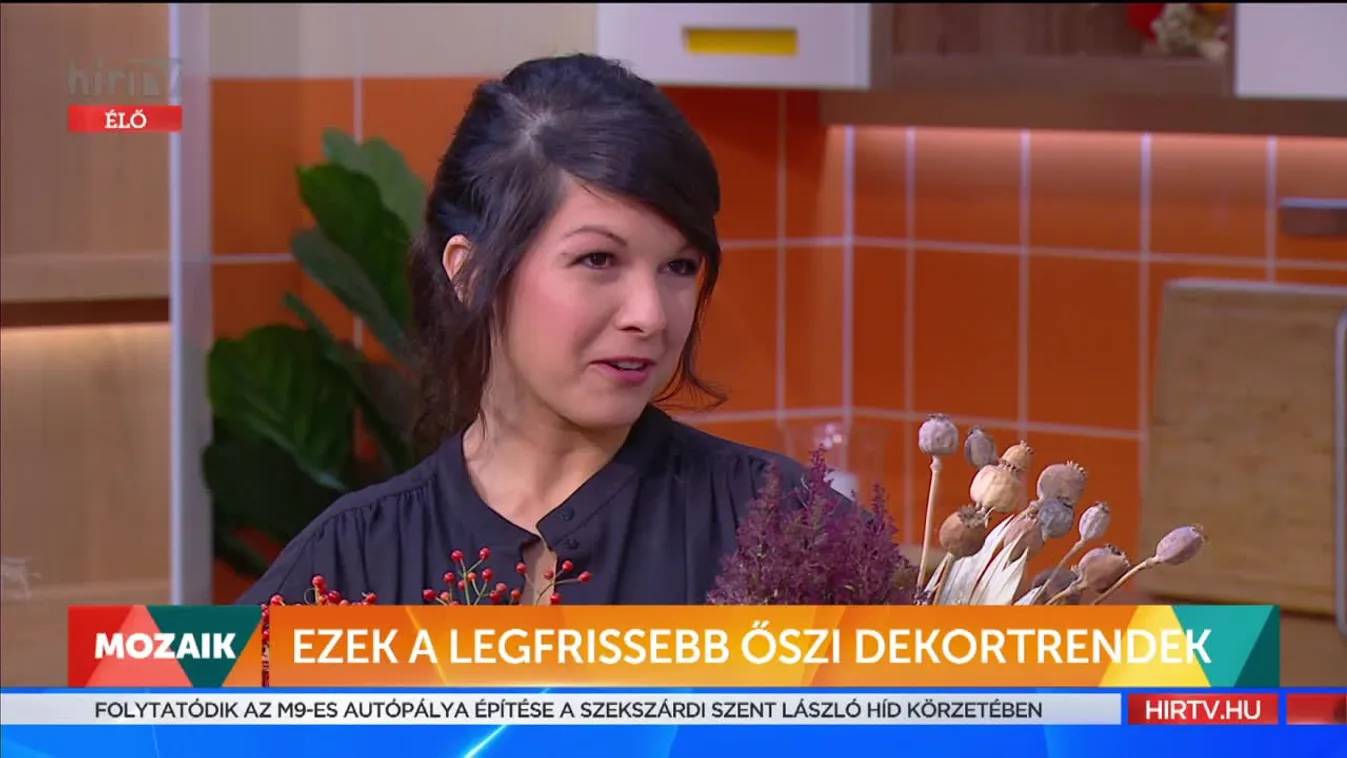 Mozaik - Ezek a legfrissebb őszi dekortrendek (2021-09-22)