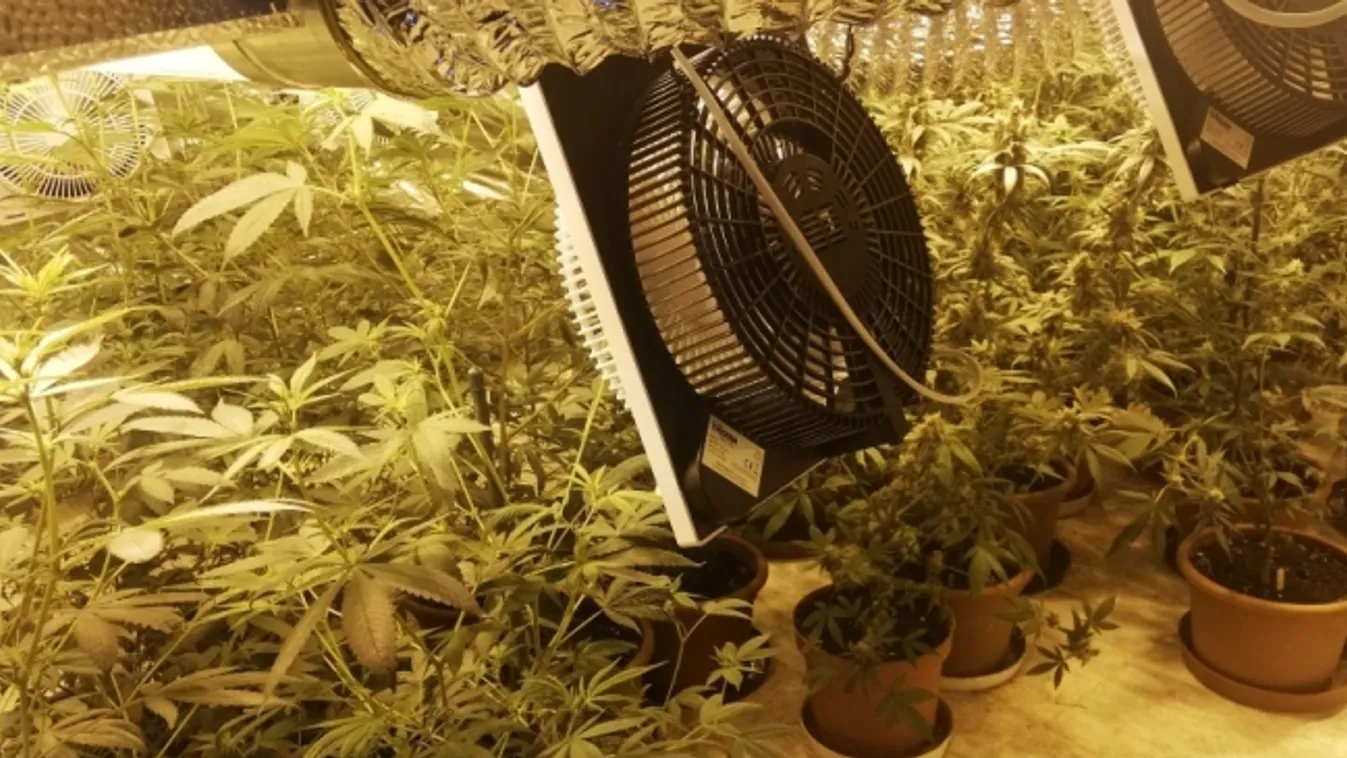 Lezárt akta - Vége a jólétnek