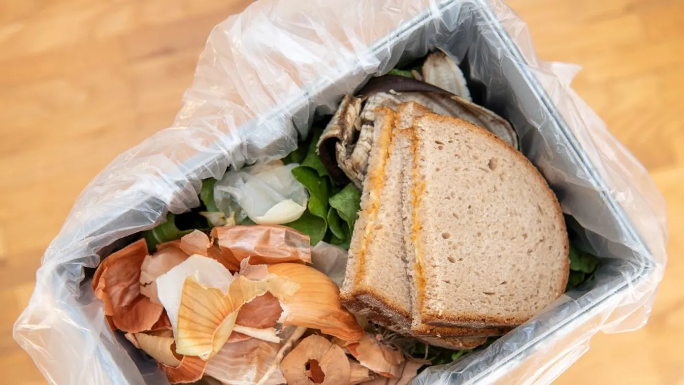 A Nébih ismét elkészíti a magyar háztartások élelmiszerhulladék-körképét