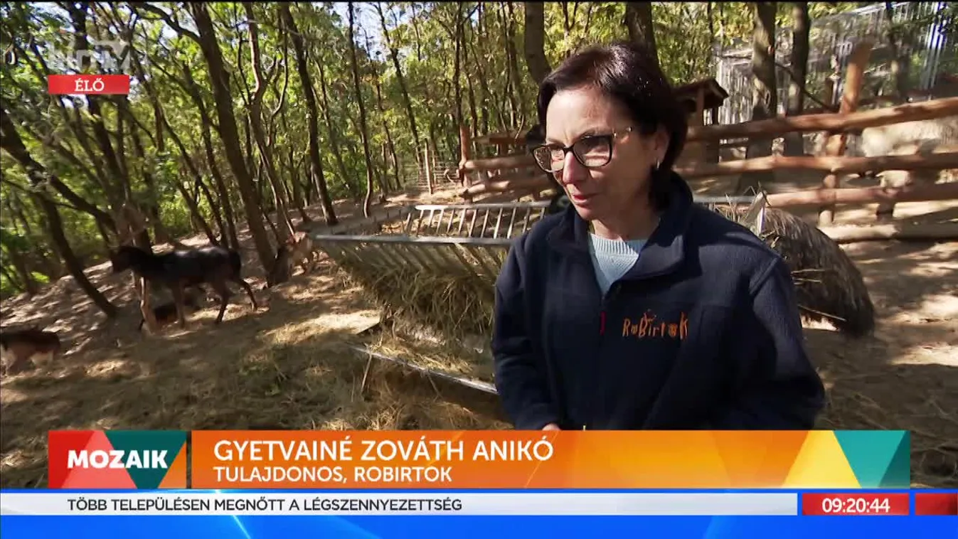 Mozaik - Élménybirtok Naszály-hegyen (2021-10-26)