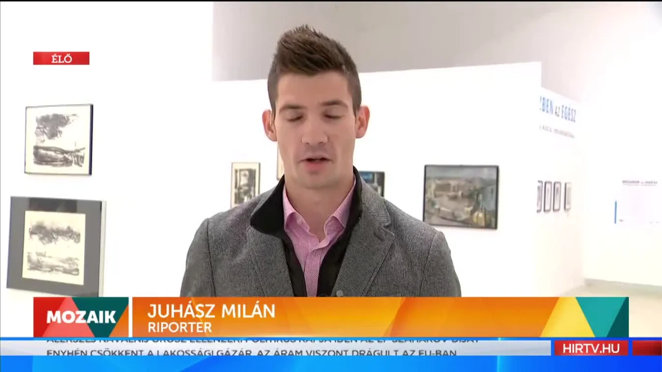 Mozaik - Baranyay András kiállítása a Műcsarnokban (2021-10-21)