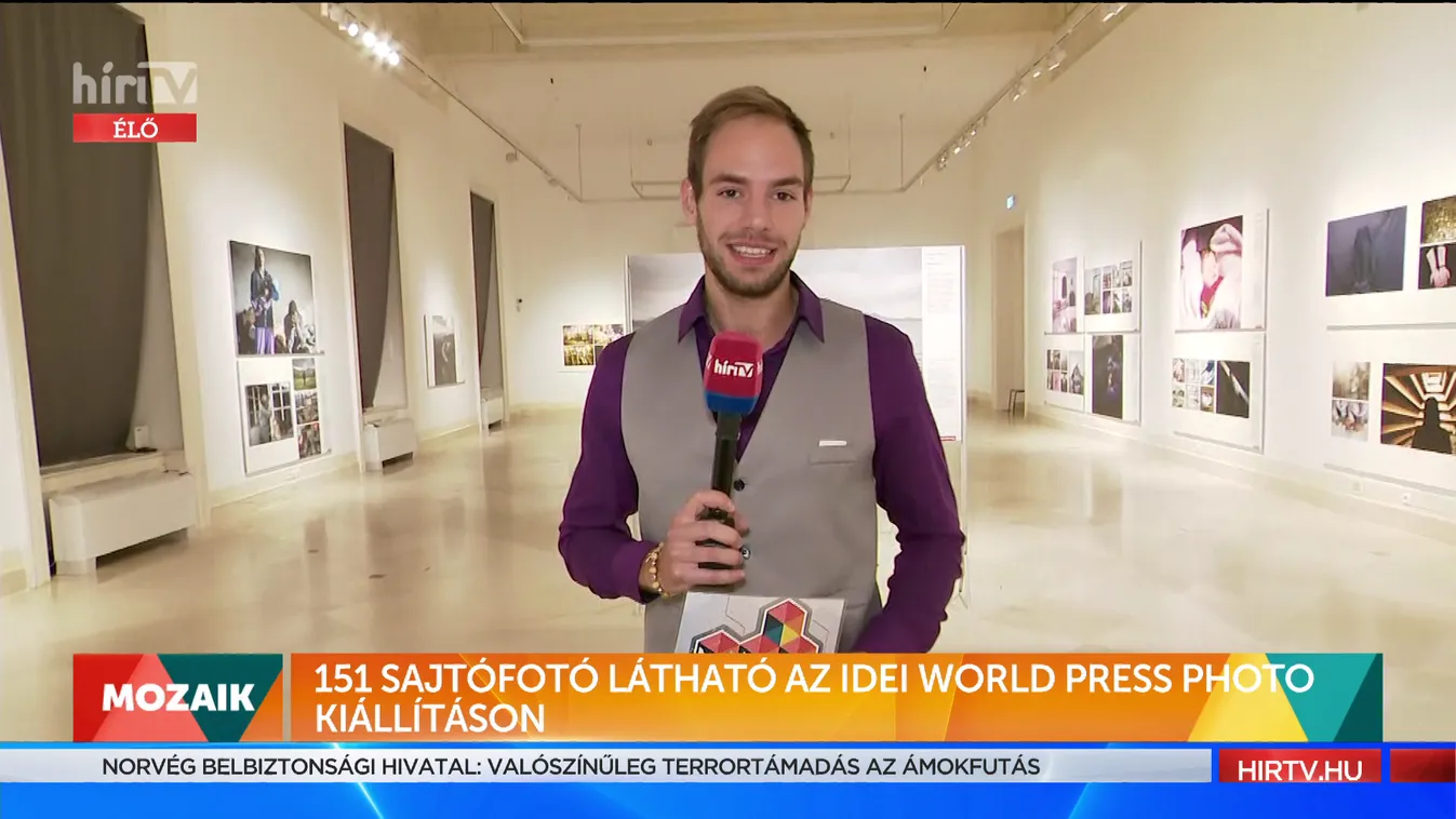 Mozaik: 151 sajtfotó látható az idei World Press Photo kiállításon