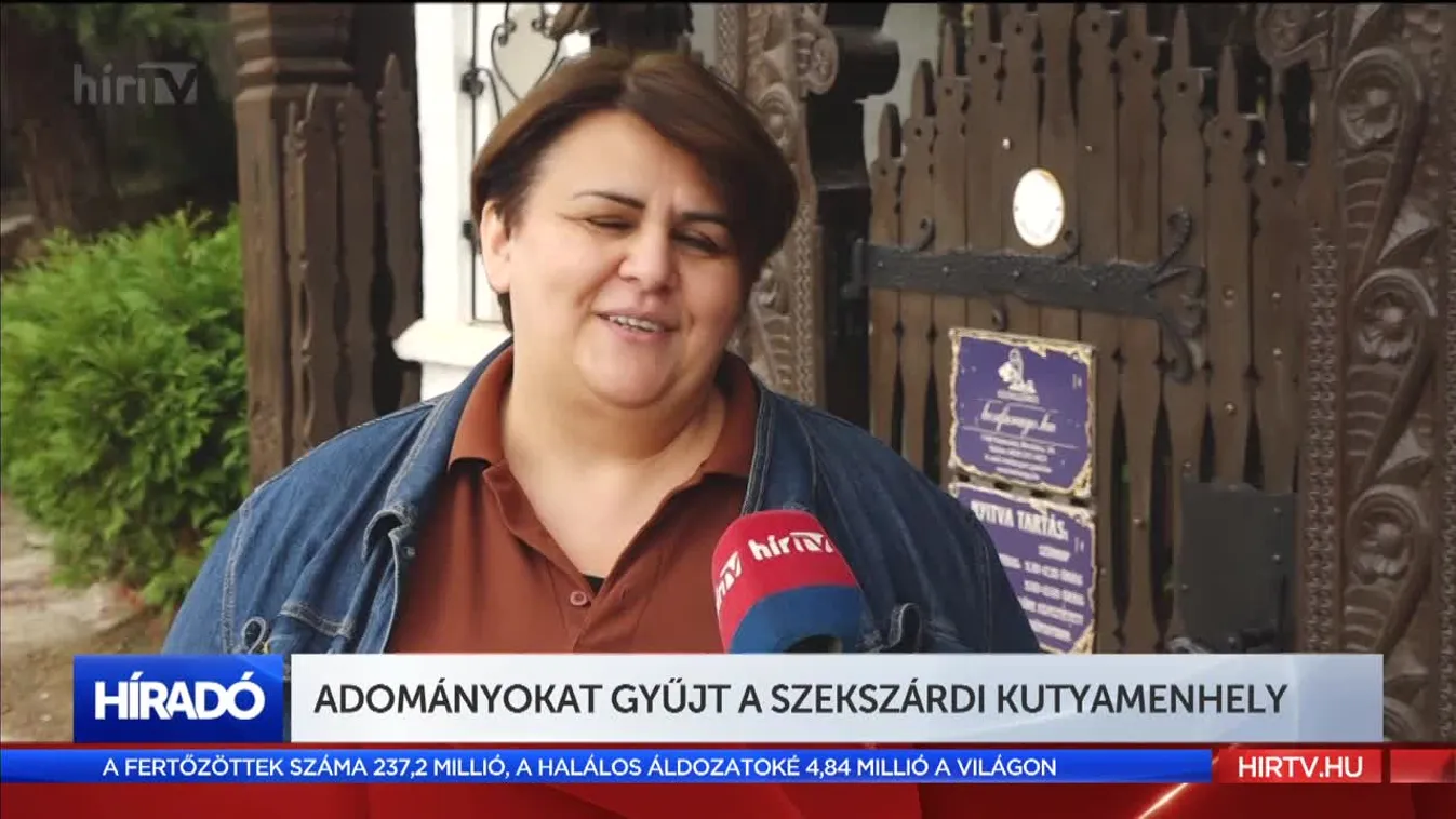 Adományokat gyűjt a szekszárdi kutyamenhely