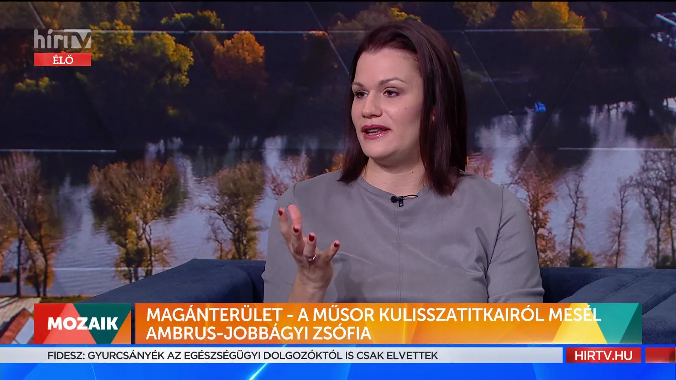 Mozaik: A Magánterület kulisszatitkai