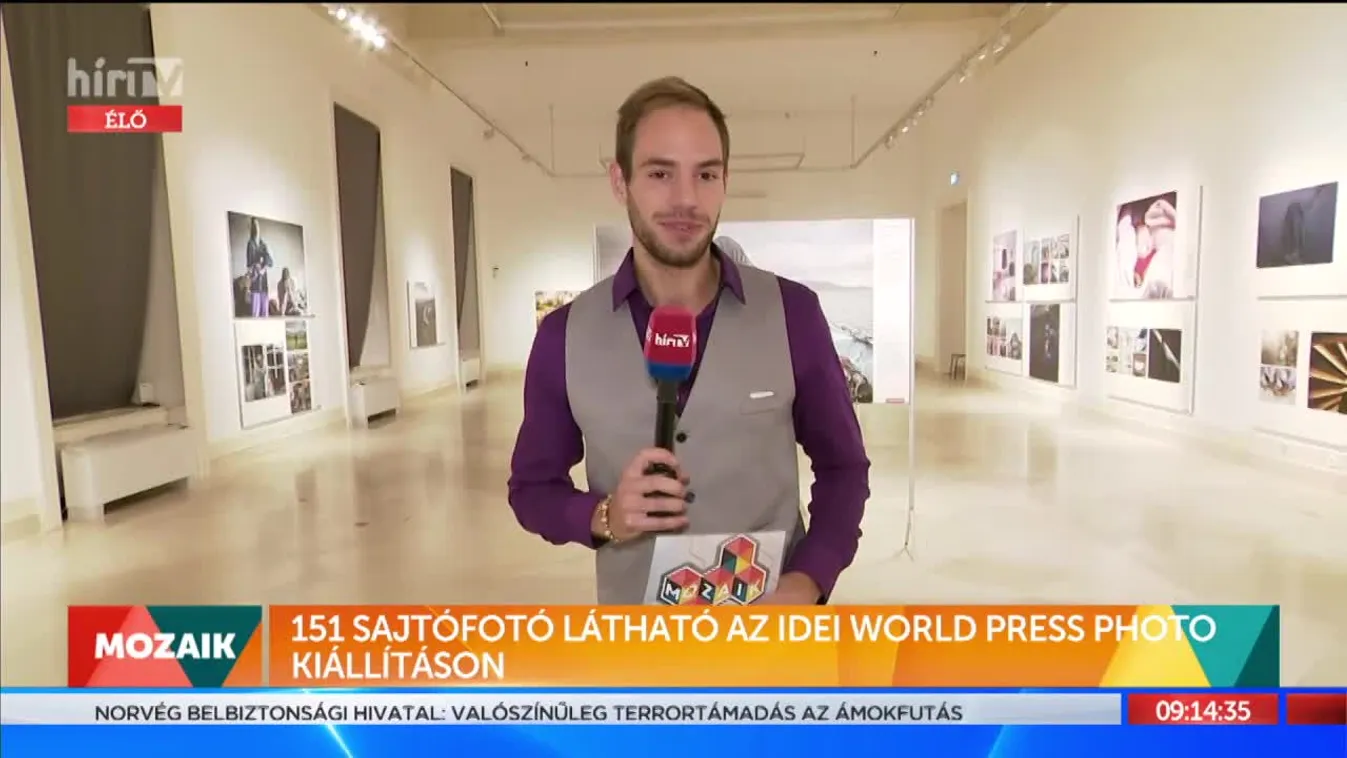 Mozaik - 151 sajtófotó látható az idei World Press Photo kiállításon