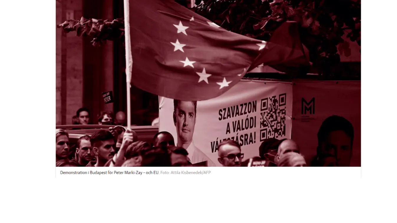 Nemzetközi segítség a magyar baloldalnak