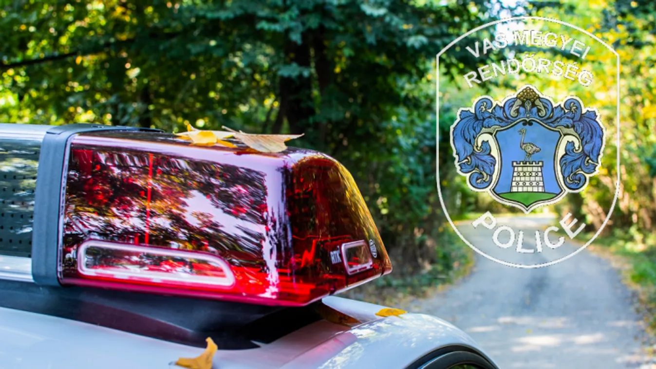 Letartóztatásban a gyújtogató