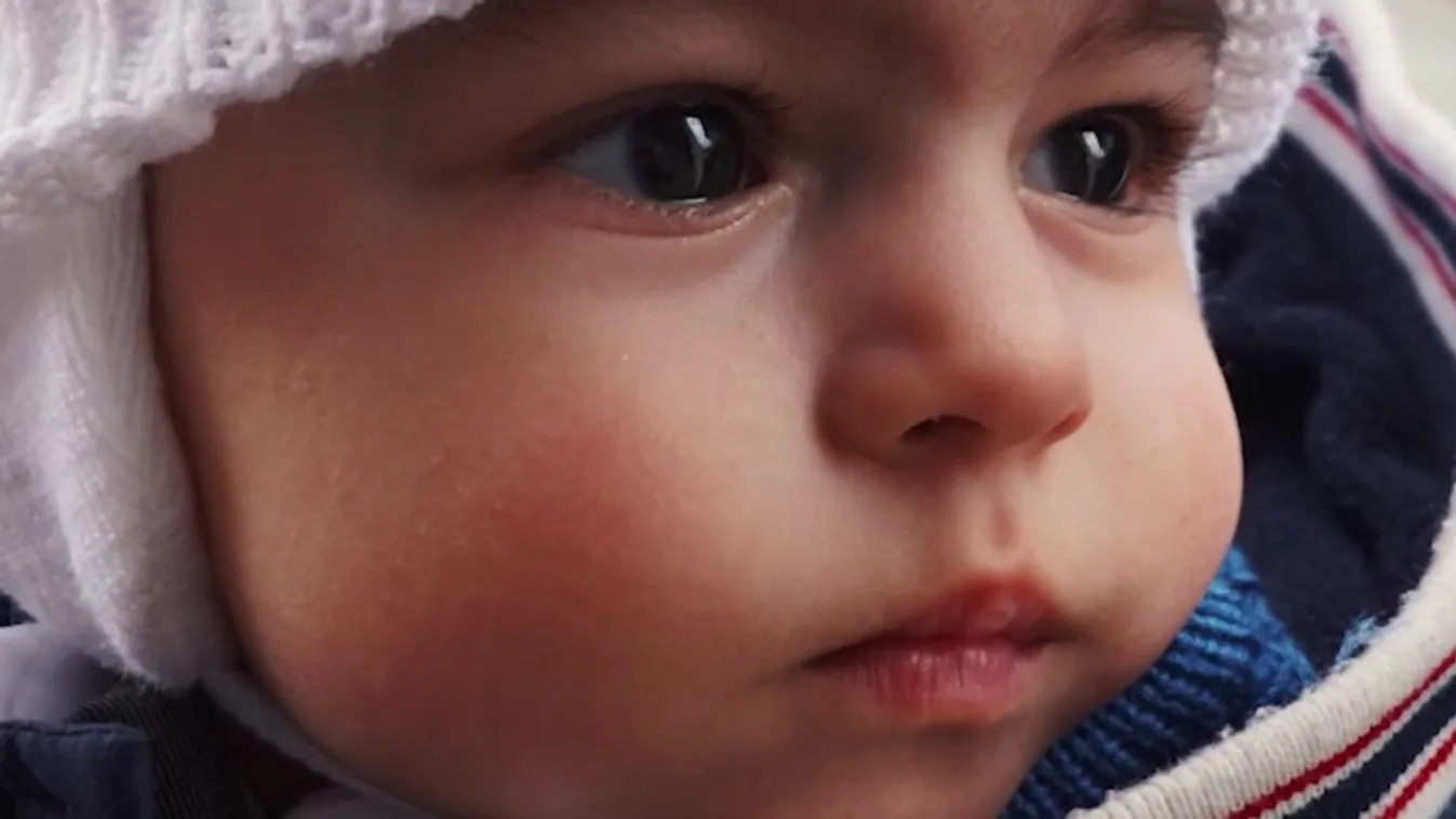 Reménytelenségből érkeztek