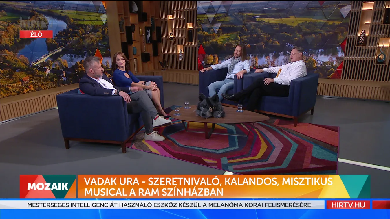 Mozaik: Vadak ura musical