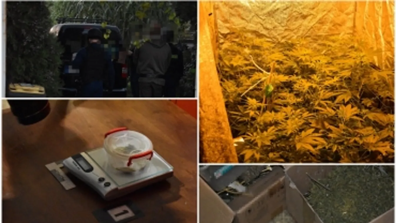 Családi vállalkozás