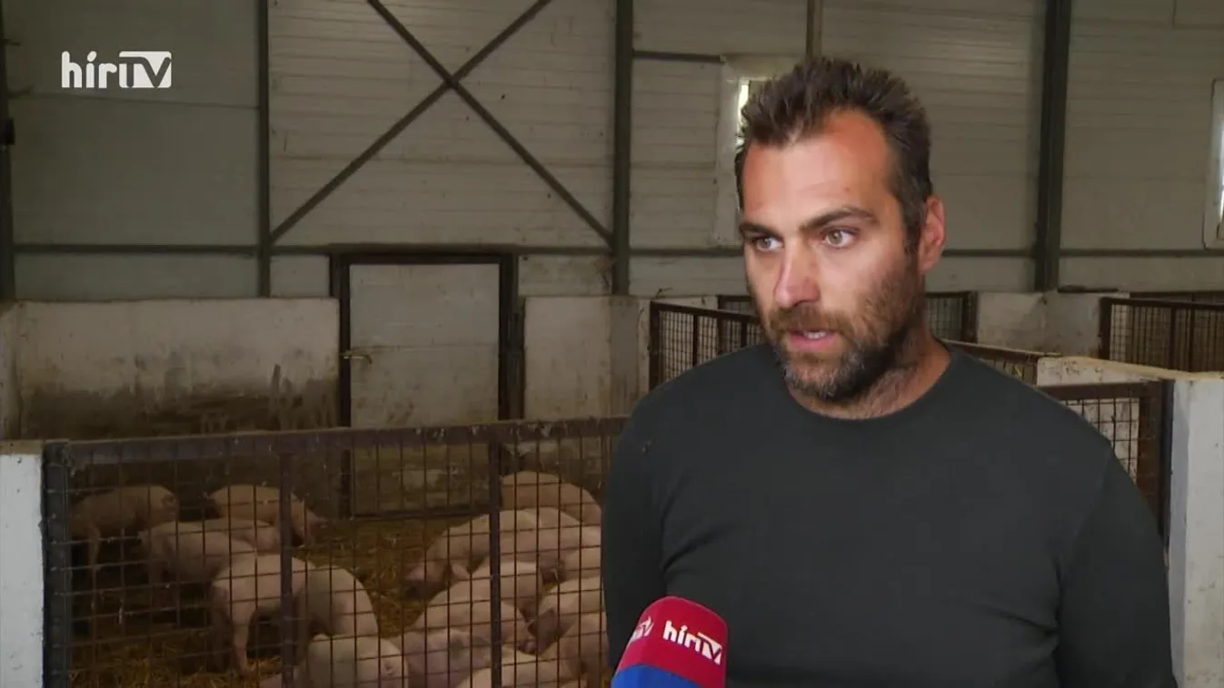 Soroló: Városból faluba