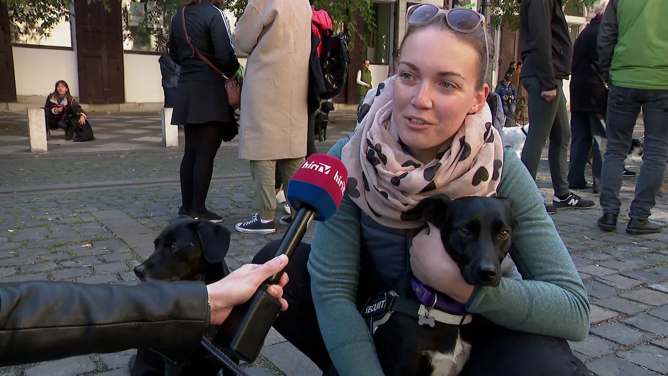 Ismét vonultak a kutyások jogaiért