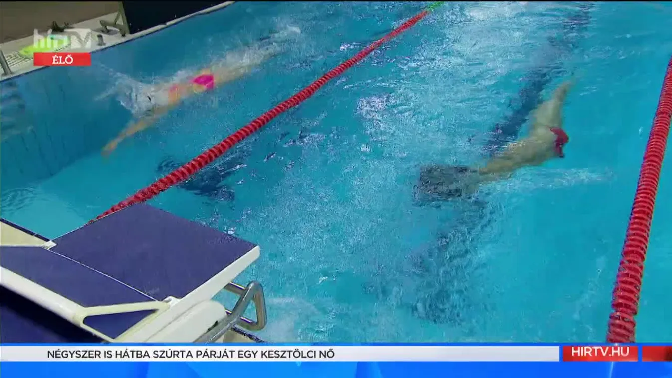 Mozaik - Uszonyos úszók (2021-10-26)