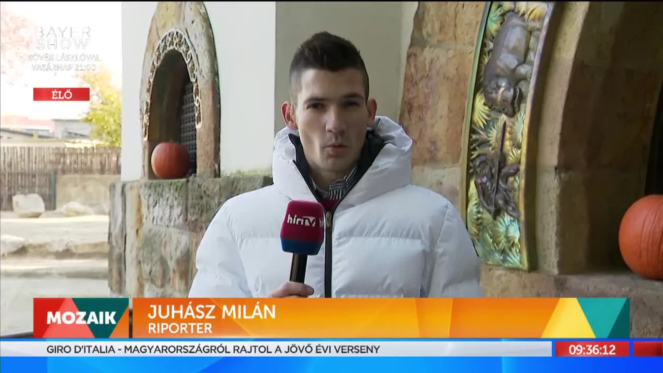 Halloween az állatkertben