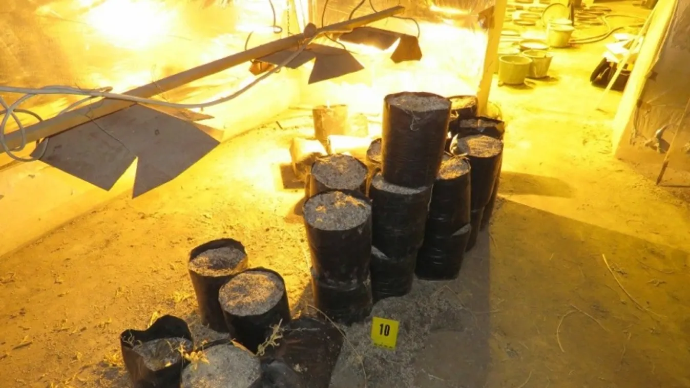 Lezárt akta: nem volt jó ötlet