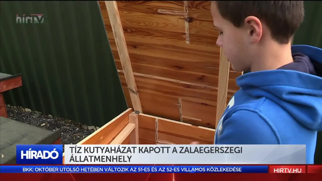 Kutyaházakat kapott a zalaegerszegi állatmenhely