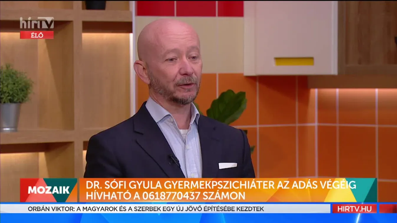 Mozaik - Dr. Sófi Gyula, gyermekpszichiáter