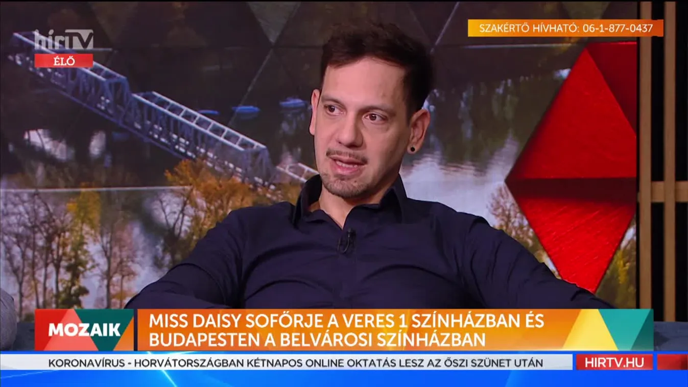 Mozaik - Miss Daisy sofőrje a Veres 1 Színházban (2021-10-27)