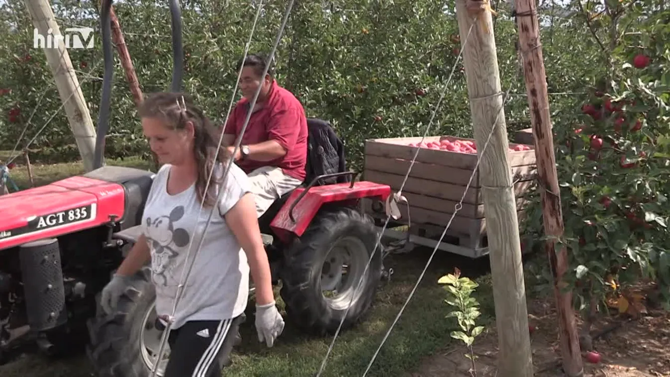 Soroló (2021-10-02)