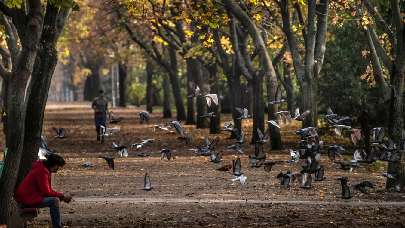 Elhanyagolták a Vérmezőt is