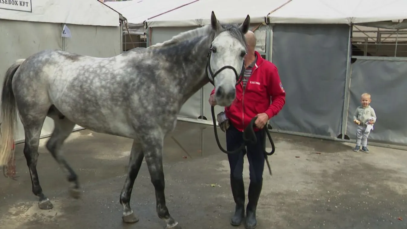 Készülődés a Nemzeti vágtára